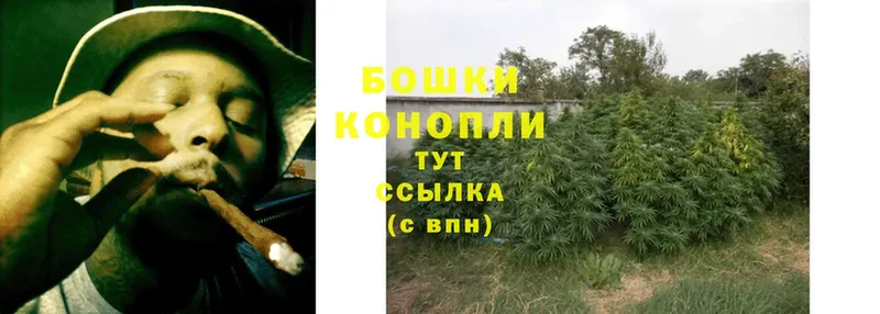 Где продают наркотики Кириши Конопля  COCAIN  АМФ  Гашиш  A PVP 